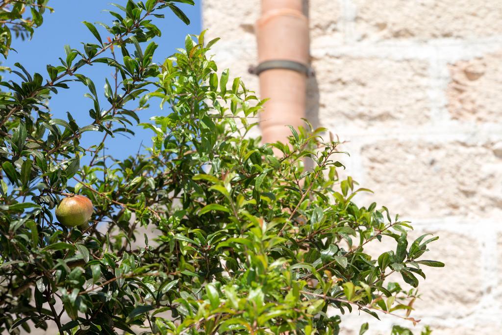 Il Borgo Del Principino