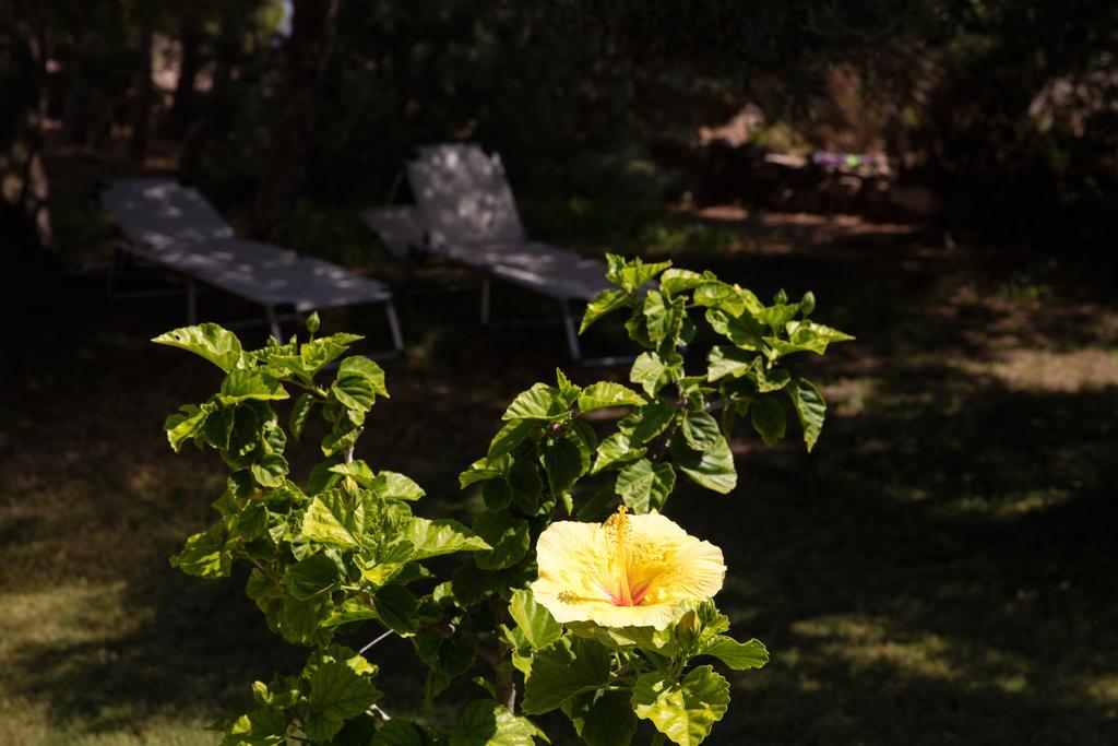 Apart-hotel Il Borgo Del Principino Ilha de Favignana